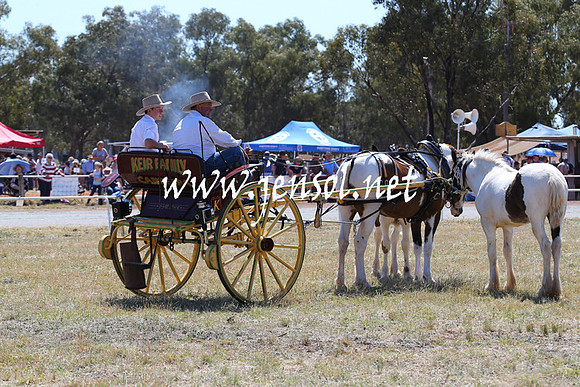 BarellanHeavyHorses2014_0170