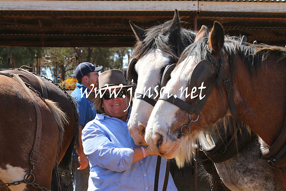 BarellanHeavyHorses2014_0102