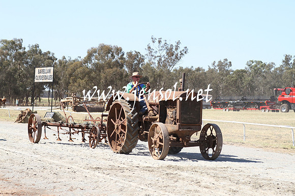 BarellanHeavyHorses2014_0590