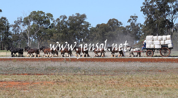 BarellanHeavyHorses2014_0250