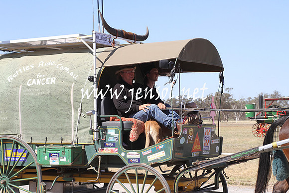 BarellanHeavyHorses2014_0588