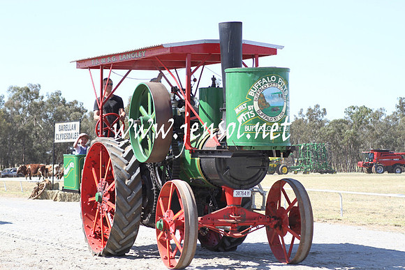 BarellanHeavyHorses2014_0535