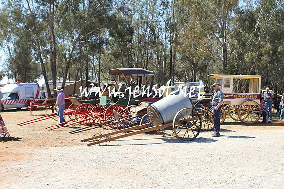 BarellanHeavyHorses2014_0604