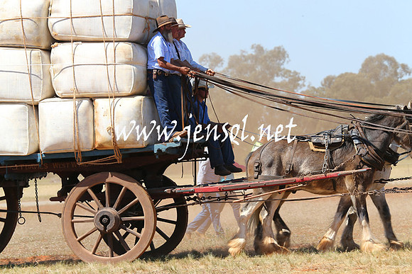 BarellanHeavyHorses2014_0049