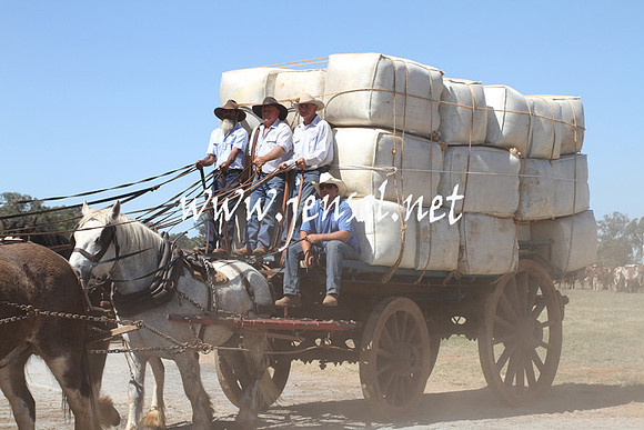 BarellanHeavyHorses2014_0473