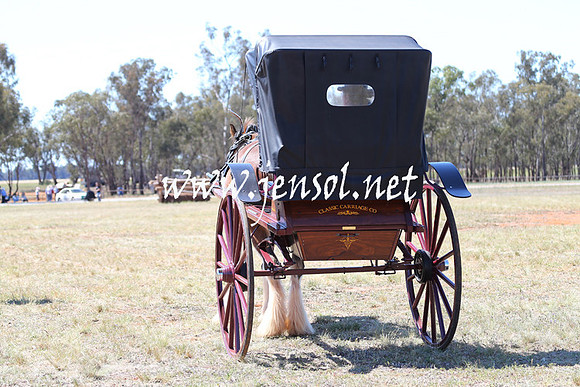 BarellanHeavyHorses2014_0171