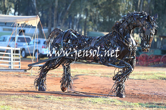 BarellanHeavyHorses2014_0130