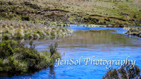 Brumbies_Nov21_0038