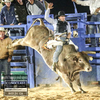 Open Bulls
