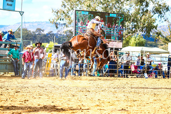 TumutRodeo2017_1731