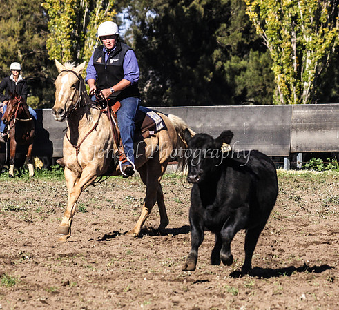 IMG_0274Jugiong1
