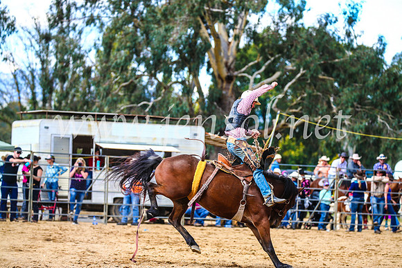 TumutRodeo2017_1578