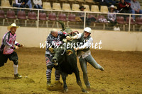 Novice Bull