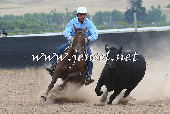 BraidwoodCampdraft2014_1434