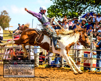 Saddle Bronc and Poley Buckjump