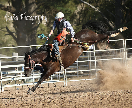 JnrBronc_3081