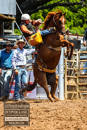 TaralgaRodeo2018_4733