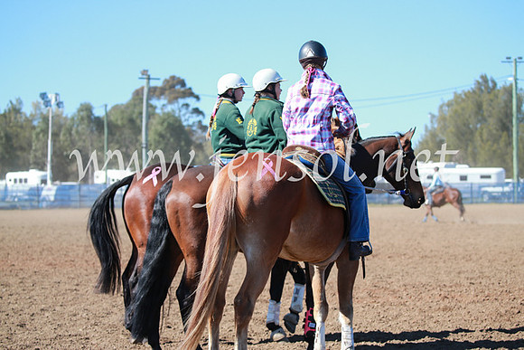 CCCampdraft2016_5420