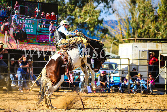 TumutRodeo2017_2550