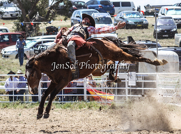 Bungendore2011_0705