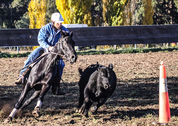 IMG_0108Jugiong1