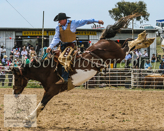Bungendore 363