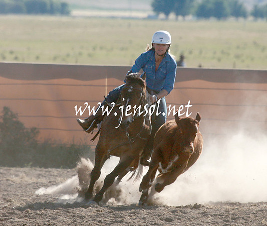 AdaminabyCampdraftSun_0050