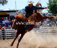Broncs