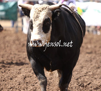 Rough Stock