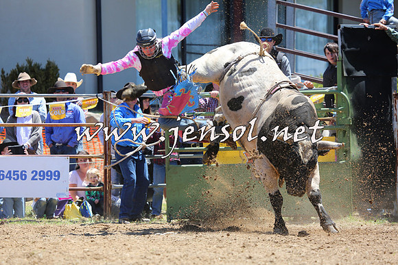 JindabyneRodeo2015_1051