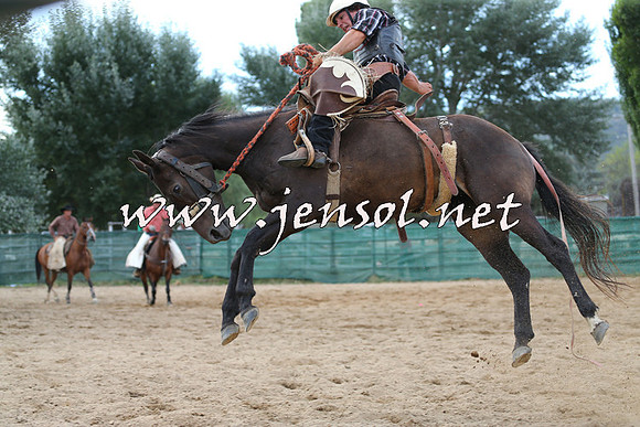 CoomaRodeo2015_2141