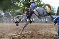 Broncs