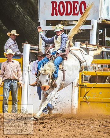 TaralgaRodeo2014_0908