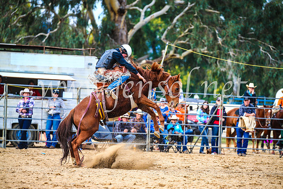 TumutRodeo2017_2276