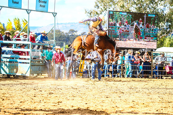 TumutRodeo2017_1716
