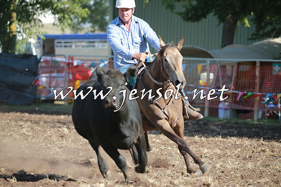 NimmitabelCampdraft2016_0505