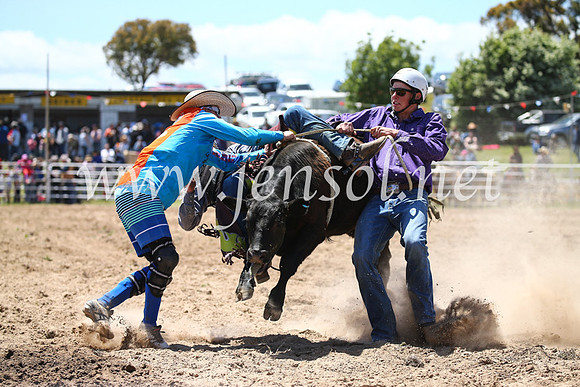 BungendoreRodeo2016-2170