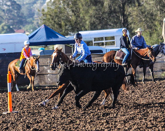 Novice 110