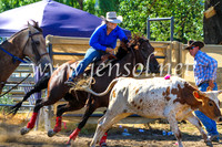 Steer Undecorating