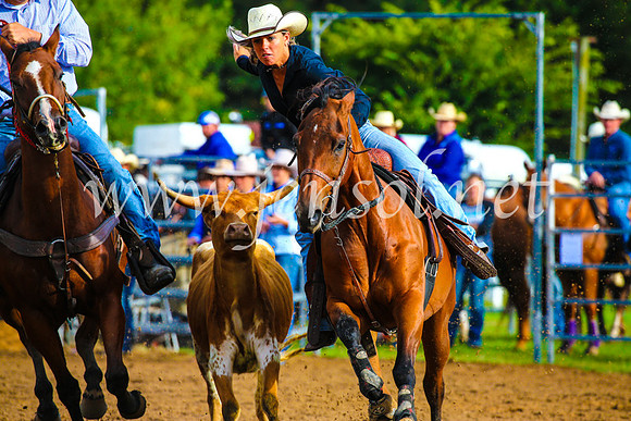 BraidwoodRodeo2017_0010