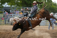 Bulls