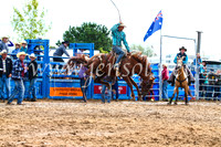 BraidwoodRodeo2017_2498