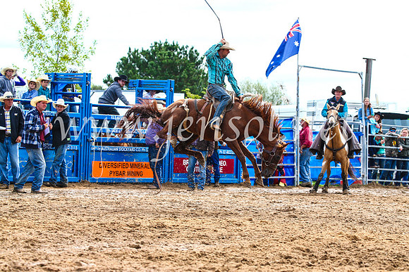 BraidwoodRodeo2017_2498