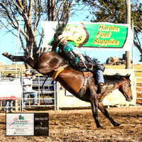 Bareback