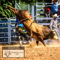Open and Over 40's Bull