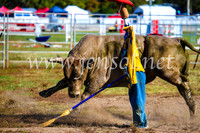 BathurstShow2017Sun_3791