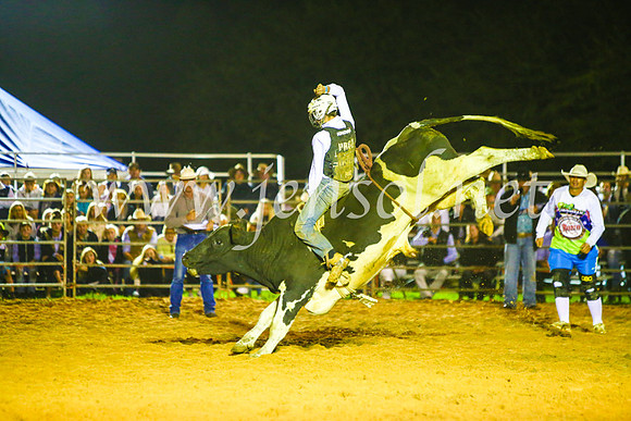 CamdenShowRodeo2017_1604