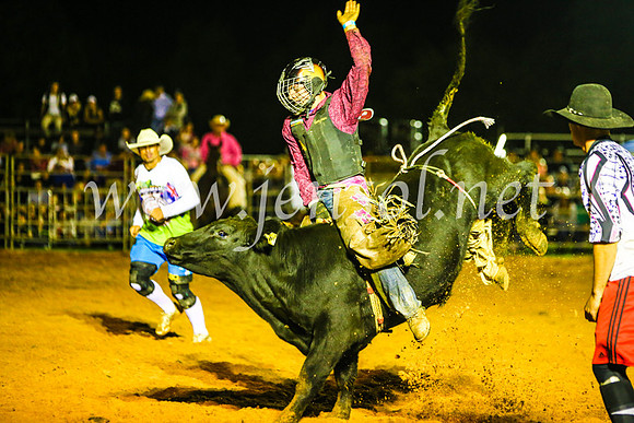 CamdenShowRodeo2017_0762