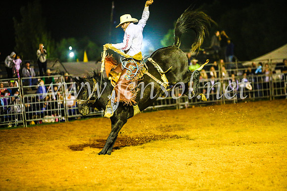 CamdenShowRodeo2017_2012