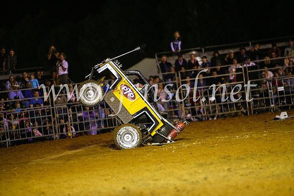 CamdenShowRodeo2017_0987